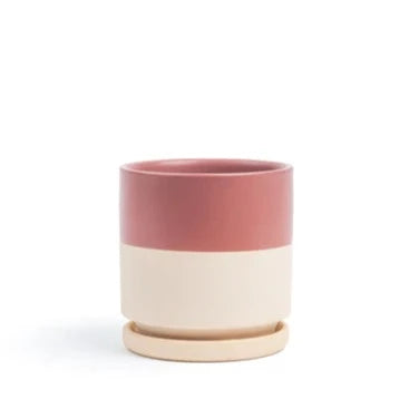 Half Dusty Rose Cylinder Pot with Water Tray