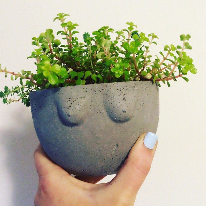 Charcoal B Cup Planter