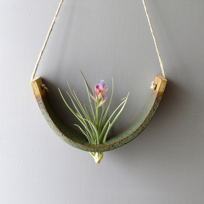 Green Speckled Air Plant Cradle