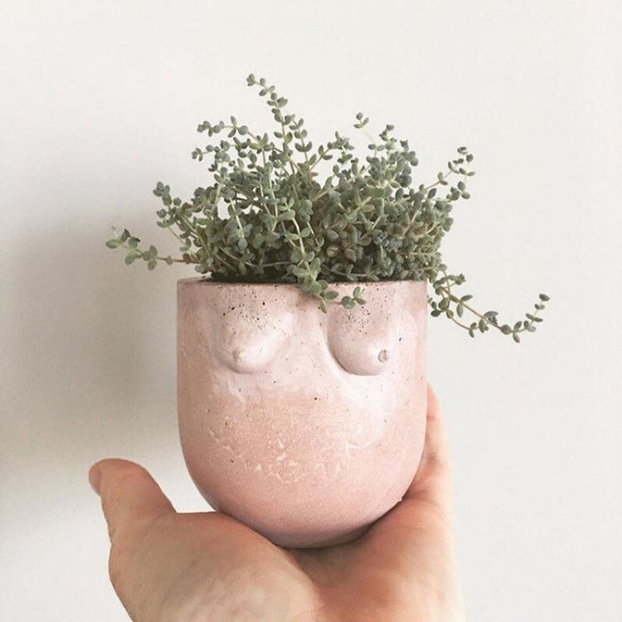 Pink B Cup Planter