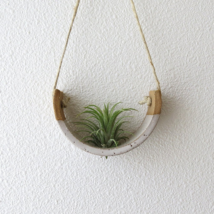 White Speckled Air Plant Cradle